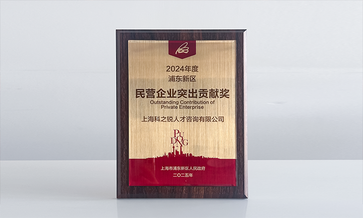 人力资源供应商圣淘沙dh国际凭借人才服务与在区域经济开展中的卓越表现荣膺2024年度浦东新区民营企业奖项